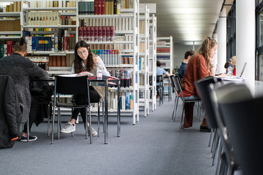 Innenansicht Mediothek mit arbeitenden SchülerInnen